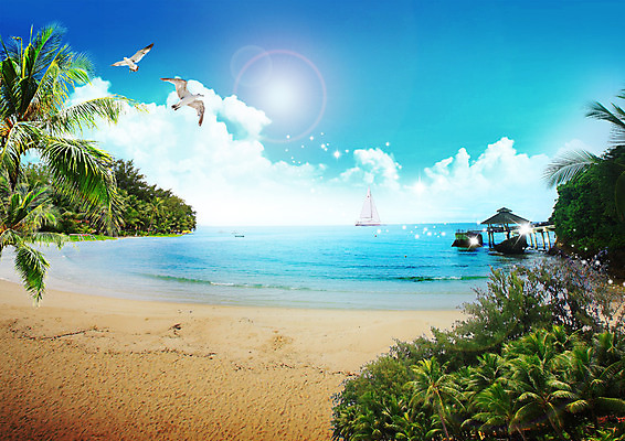 PSD 구름 편집 편집이미지 여행 갈매기 하늘 해변 사람없음 야자수 항구 휴양지 선박 이미지편집 자연요소 나무 바다 수상교통 교통시설 조류 장소 파일형식