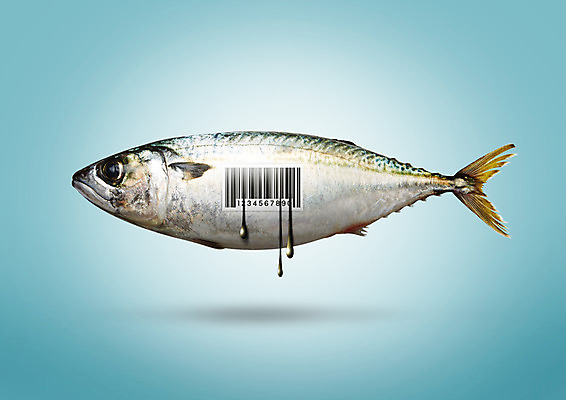 PSD 편집 편집이미지 식재료 사람없음 흐름 해산물 바코드 고등어 이미지편집 컨셉 어류 파일형식