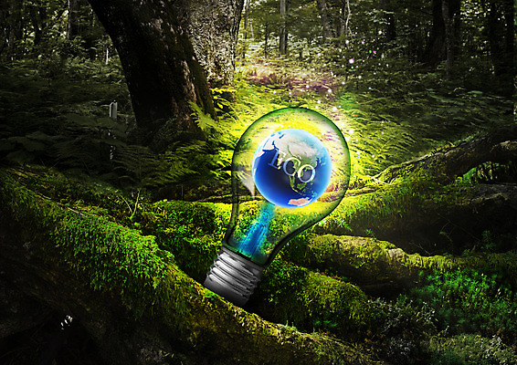 PSD 나무 편집 편집이미지 지구 전구 자연 이끼 사람없음 자연보호 환경 그린캠페인 그린에너지 숲 에코 이미지편집 식물 캠페인 에너지 보호 생태계 파일형식