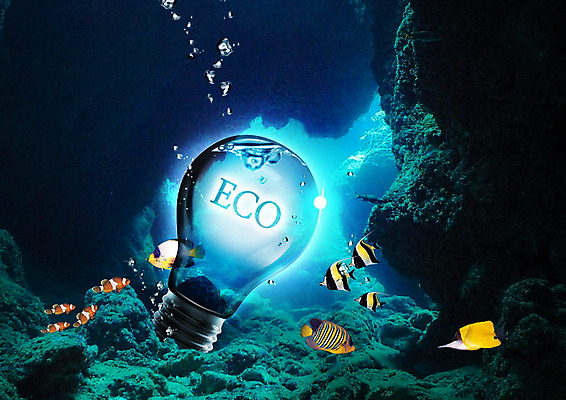 PSD 편집 편집이미지 바다 전구 자연 사람없음 자연보호 환경 그린캠페인 수중 바위 그린에너지 열대어 에코 트로피컬아트 이미지편집 캠페인 어류 에너지 돌_바위 보호 그림 생태계 파일형식