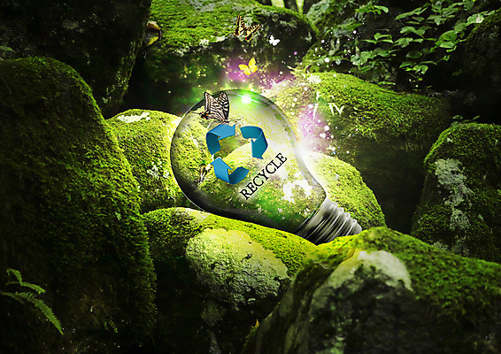 PSD 편집 편집이미지 화살표 나비 전구 자연 이끼 사람없음 자연보호 환경 그린캠페인 재활용 바위 그린에너지 숲 이미지편집 캠페인 곤충 에너지 돌_바위 보호 친환경 생태계 파일형식