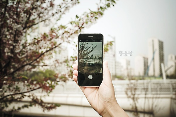주간 PSD 나무 편집이미지 손 모바일 거리풍경 들기 야외 신체부위 스마트폰 사진촬영 봄 벚꽃 디지털합성 디지털아트 이미지편집 자연요소 식물 계절 꽃 모션 거리 사람 풍경 핸드폰 스마트기기 촬영 파일형식