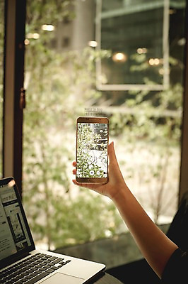 PSD 나무 편집이미지 손 모바일 실내 들기 신체부위 노트북 스마트폰 사진촬영 봄 디지털합성 디지털아트 이미지편집 식물 계절 모션 사람 내부 전자제품 핸드폰 스마트기기 촬영 파일형식