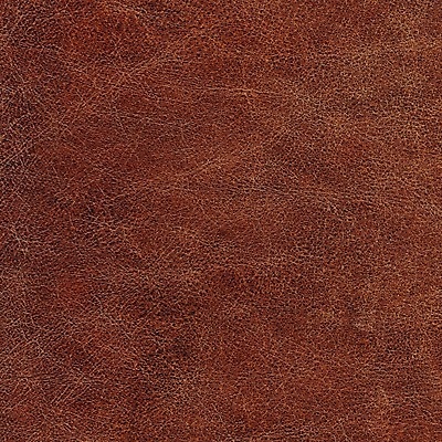 포토 JPG 해외이미지 디자인 백그라운드 패턴 추상 사람없음 갈색 유행 가죽 피부 질감 정사각형 숨김 내추럴 해외202004 해외포토 도형 컬러 컨셉 무늬 신체부위 파일형식 이미지허브