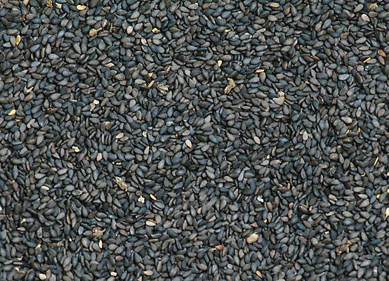 포토 JPG 해외이미지 식물 계절 음식 백그라운드 채소 재료 추상 건조 건강 요리 씨앗 동양인 사람없음 약 쌓기 검은색 튀김 고명 양념 조미료 닫기 맛 낟알 허브 향신료 묘사 질감 깨 향료 층 아로마테라피 내추럴 채식주의자 해외202004 해외포토 컬러 컨셉 무늬 식재료 의학 모션 인종 채식 향기 냄새 테라피 향미료 파일형식 이미지허브