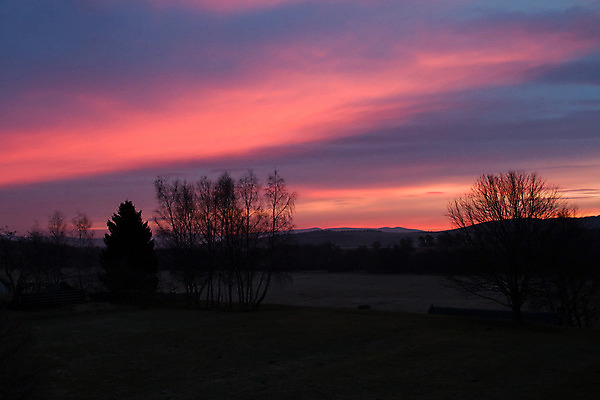 포토 JPG 해외이미지 나무 분홍색 하늘 산 풍경 사람없음 파란색 일출 새벽 시골 언덕 장면 스코틀랜드 해외202004 해외포토 자연요소 식물 컬러 영국 노을 파일형식 이미지허브