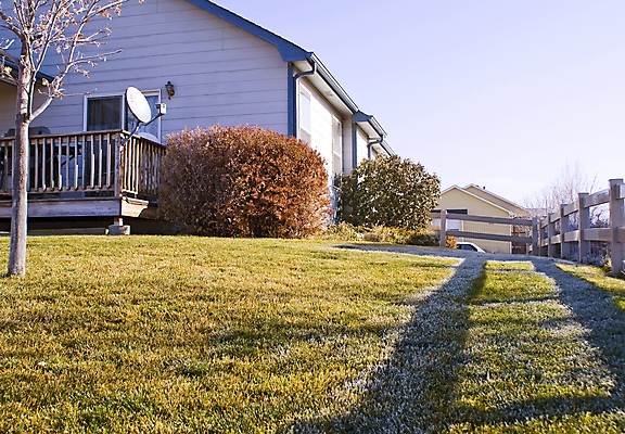 포토 JPG 해외이미지 계절 아침 그림자 풍경 잔디 사람없음 야외 초록색 서리 장면 뒤뜰 해외202004 해외포토 주간 식물 컬러 파일형식 이미지허브