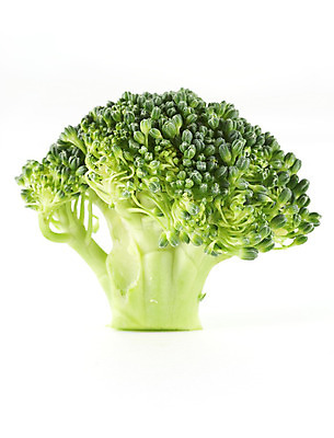 포토 JPG 해외이미지 음식 줄기 다이어트 채소 건강 사람없음 초록색 저녁식사 신선 브로콜리 날씬함 유기농 날것 칼로리 섬유 성분 내추럴 식욕 해외202004 해외포토 식물 웰빙 컬러 식사 직물 몸매 파일형식 이미지허브