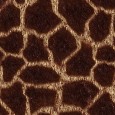 포토 JPG 해외이미지 백그라운드 패턴 일러스트 사람없음 3D 기린 피부 언덕 그림 질감 숨김 해외202004 해외포토 컨셉 무늬 포유류 신체부위 디지털합성 파일형식 이미지허브