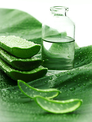 포토 JPG 해외이미지 얼굴 잎 재료 건강 가면 사람없음 치료 초록색 약 스파 화장품 신선 주름 가시 씻기 빨래 소중 허브 세제 피부 크림 순수 피부관리 진흙 테라피 내추럴 돌봄 수분크림 알로에 위생관리 노화 디톡스 해외202004 해외포토 식물 컬러 컨셉 가사 의학 모션 관리 신체부위 뷰티 청결 파일형식 이미지허브