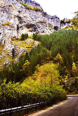 포토 JPG 해외이미지 나무 계절 도로 잎 자연 산 풍경 사람없음 목재 초록색 컬러풀 평화 맑음 벚꽃 가을 숲 언덕 암초 굴곡 해외202004 해외포토 식물 꽃 길 컬러 컨셉 재료 교통시설 날씨 생태계 파일형식 이미지허브