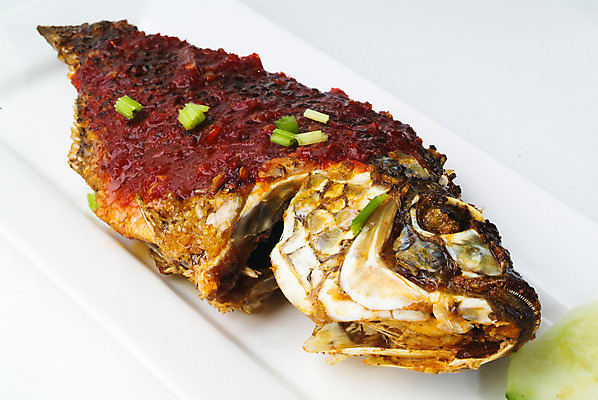 포토 JPG 해외이미지 1 접시 음식 조각 백그라운드 다이어트 토마토 채소 건강 어류 요리 사람없음 목재 빨간색 초록색 빛 노란색 주방 식당 식사 저녁식사 샐러드 튀김 흰색 신선 뜨거움 고명 황금 맛 그릴 굽기 먹기 레몬 해산물 준비 유기농 내추럴 점심식사 고립 해외202004 해외포토 나무 식기 웰빙 컬러 컨셉 과일 재료 모션 주방용품 상점 수중동물 구이 파일형식 이미지허브