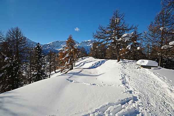포토 JPG 해외이미지 라이프스타일 계절 스포츠 겨울 하늘 산 풍경 사람없음 야외 가로 파란색 이탈리아 추위 자유 탐험 흰색 황무지 고독 빙하 서리 노력 산봉우리 전나무 염원 산맥 해외202004 해외포토 나무 감정 유럽 컬러 컨셉 생활 봉우리 파일형식 이미지허브