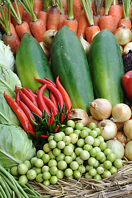 포토 JPG 해외이미지 식물 음식 백그라운드 농업 다이어트 토마토 채소 오렌지 과일 재료 고추 양파 건강 마늘 요리 사람없음 빨간색 초록색 갈색 노란색 주방 정원 저녁식사 당근 샐러드 가을 흰색 신선 시장 달콤 상품 혼합 먹기 유기농 양배추 날것 후추 섬유 이익 내추럴 채식주의자 태국음식 파파야 샬롯 해외202004 해외포토 웰빙 계절 산업 컬러 모션 뿌리채소 식사 직물 맛 향신료 열대과일 채식 동양음식 파일형식 이미지허브