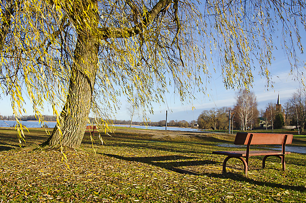 포토 JPG 해외이미지 나무 계절 공원 호수 잎 벤치 풍경 사람없음 목재 초록색 햇빛 갈색 교회 침묵 가을 나뭇가지 시골 저녁 버드나무 휴양지 10월 해외202004 해외포토 식물 공공시설 컬러 의자 재료 종교건축 건물 태양 소리 장소 날짜 야간 파일형식 이미지허브