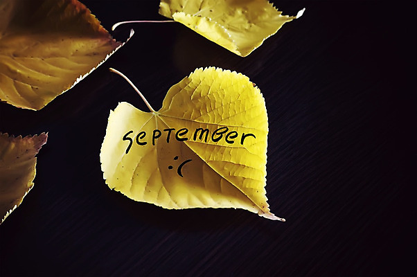 포토 JPG 해외이미지 나무 식물 계절 공원 백그라운드 컨셉 잎 패턴 오렌지 텍스트 자연 표면 추상 건조 사람없음 야외 목재 장식 초록색 단어 빛 컬러풀 태양 갈색 노란색 라벨 환경 맑음 검은색 슬픔 가을 황금 숲 9월 11월 질감 10월 내추럴 옛날 해외202004 해외포토 자연요소 문자 공공시설 감정 컬러 무늬 과일 재료 날씨 프레임 날짜 생태계 파일형식 이미지허브