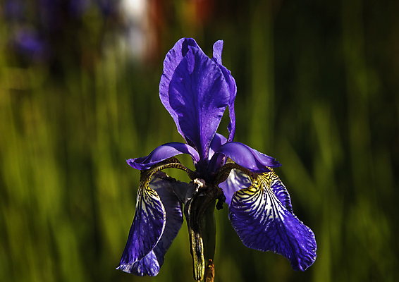 포토 JPG 해외이미지 유럽 자연 북유럽 노르웨이 풍경 사람없음 스칸디나비아 해외202004 해외포토 나라 생태계 파일형식 이미지허브