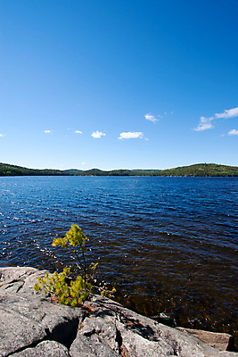 포토 JPG 해외이미지 나무 구름 계절 공원 호수 바다 여행 자연 하늘 산 풍경 사람없음 야외 초록색 물 여름 파란색 강 컬러풀 햇빛 환경 맑음 봄 활발 성장 바위 소나무 숲 언덕 내추럴 묘목 생태학 혼자 화강암 수평선 해외202004 해외포토 자연요소 식물 공공시설 교육 컬러 컨셉 날씨 태양 암석 돌_바위 생태계 파일형식 이미지허브