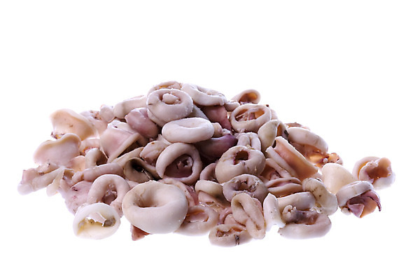 포토 JPG 해외이미지 음식 바다 요리 사람없음 식사 저녁식사 신선 반지 시장 닫기 먹기 해산물 오징어 문어 촉수 점심식사 고립 해외202004 해외포토 장신구 모션 연체동물 수중동물 파일형식 이미지허브