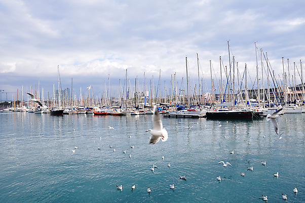 포토 JPG 해외이미지 구름 유럽 여행 건축양식 갈매기 하늘 거리 풍경 사람없음 여행객 항구 스페인 심볼 포트 바르셀로나 해외202004 해외포토 자연요소 건축 나라 교통시설 조류 사람 파일형식 이미지허브