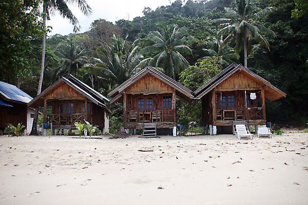 포토 JPG 해외이미지 나무 아시아 바다 섬 여행 태국 자연 호텔 휴가 주택 손바닥 사람없음 건물 목재 초록색 태양 여행객 숲 열대우림 휴양지 뿌리 코코넛 내추럴 이국적 해외202004 해외포토 자연요소 식물 건축물 손 나라 컬러 과일 재료 숙소 사람 장소 생태계 파일형식 이미지허브