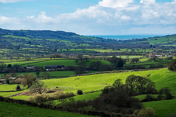 포토 JPG 해외이미지 나무 구름 유럽 밭 농업 하늘 영국 잉글랜드 풍경 사람없음 야외 가로 초록색 파란색 농장 계곡 맑음 침묵 봄 시골 땅 언덕 장면 해외202004 해외포토 자연요소 식물 계절 나라 산업 컬러 날씨 소리 파일형식 이미지허브