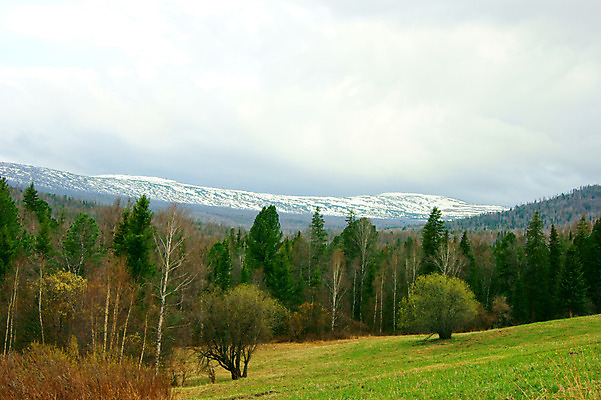 포토 JPG 해외이미지 나무 구름 여행 자연 하늘 휴가 산 파노라마 풍경 사람없음 야외 목재 초록색 침묵 봄 추위 황무지 숲 알프스 지역 북쪽 절정 해외202004 해외포토 자연요소 식물 계절 유럽 컬러 재료 촬영기법 소리 방향 생태계 파일형식 이미지허브