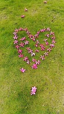 포토 JPG 해외이미지 사람없음 해외202004 해외포토 파일형식 이미지허브