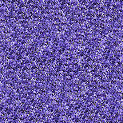 포토 JPG 해외이미지 식물 계절 기념일 꽃잎 꽃 꽃다발 백그라운드 꽃무늬 패턴 밭 자연 휴가 발렌타인데이 선물 사람없음 장식 컬러풀 정원 보라색 벚꽃 축하 인사 신선 그룹 다발 타일 원예 질감 향기 부드러움 포도나무 내추럴 강렬 해외202004 해외포토 컬러 컨셉 무늬 농업 데이이벤트 이벤트 취미 예절 감각 과일나무 생태계 냄새 파일형식 이미지허브