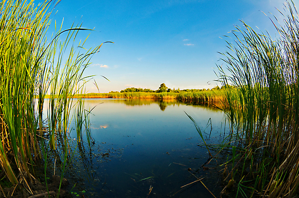 포토 JPG 해외이미지 나무 식물 구름 계절 호수 여행 백그라운드 자연 하늘 풍경 사람없음 야외 목재 가로 초록색 물 여름 파란색 컬러풀 햇빛 반사 평화 환경 맑음 봄 시골 황무지 장면 폴란드 내추럴 생태학 수평선 해외202004 해외포토 자연요소 교육 유럽 컬러 컨셉 재료 날씨 태양 생태계 파일형식 이미지허브