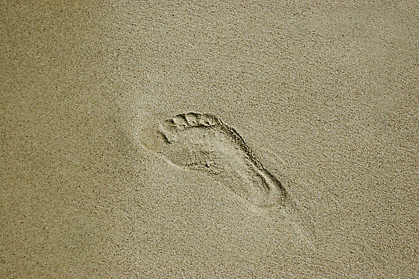 포토 JPG 해외이미지 길 모래 바다 자연 사람 사람없음 발자국 싱글 발가락 양발 해외202004 해외포토 자국 발 생태계 파일형식 이미지허브