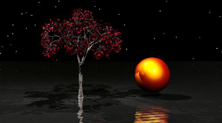 포토 JPG 해외이미지 나무 별 선 오렌지 일러스트 하늘 사람없음 빨간색 물 파란색 컬러풀 태양 3D 일출 검은색 일몰 점성술 천문학 일요일 생태학 수평선 해외202004 해외포토 자연요소 식물 교육 컬러 과일 노을 디지털합성 요일 파일형식 이미지허브