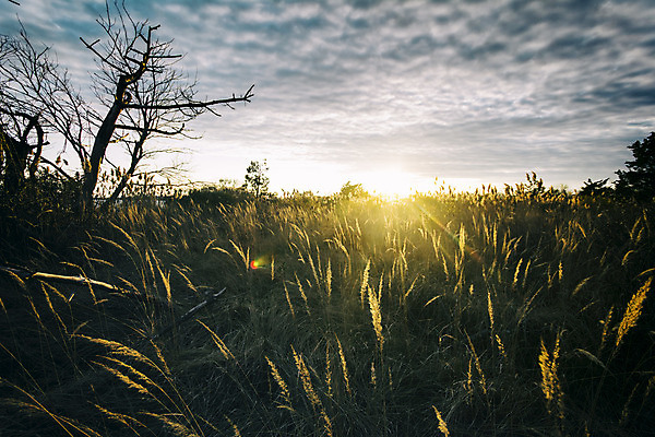 포토 JPG 해외이미지 구름 공원 행복 파도 바다 하늘 날씨 휴가 휴식 풍경 사람없음 물 평화 미국 희망 힘 침묵 일몰 젖음 자유 황무지 고독 보호 드라마 멀리 보호구역 해외202004 해외포토 자연요소 공공시설 감정 컨셉 북아메리카 노을 소리 구역 파일형식 이미지허브