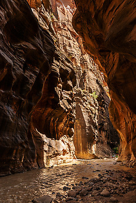 포토 JPG 해외이미지 공원 벽 여행 북아메리카 자연 숙이기 풍경 사람없음 야외 물 강 환경 계곡 미국 산책 땅 부식 통로 좁은 방문 목각 깊이 서쪽 시온산 전국 세련 해외202004 해외포토 자연요소 공공시설 포즈 휴식 아메리카 방향 생태계 파일형식 이미지허브