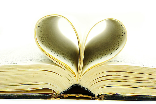 포토 JPG 해외이미지 종교 사람없음 스터디 성경 오픈 영혼 집중 읽기 통로 페이지 신성 고립 신앙심 해외202004 해외포토 컨셉 종교용품 모션 학습 파일형식 이미지허브