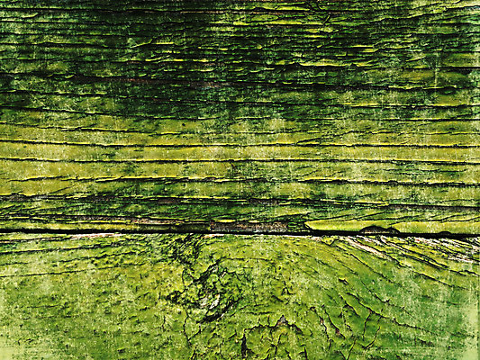 포토 JPG 해외이미지 디자인 백그라운드 패턴 벽지 표면 추상 프레임 건조 미술 사람없음 야외 검은색 어둠 손상 수확 골동품 거친 역사 균열 떨어짐 질감 복고 구김 그런지 엘리먼트 옛날 해외202004 해외포토 컬러 컨셉 무늬 농업 모션 문화예술 파일형식 이미지허브