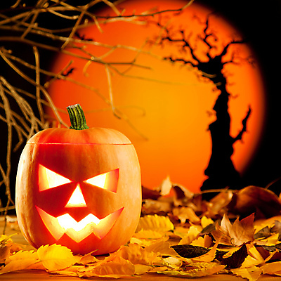 JPG 해외이미지 단풍 낙엽 호박 사람없음 할로윈 오브젝트 잭오랜턴 해외202004 해외포토 포토 잎 채소 파일형식 이미지허브