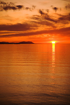 포토 JPG 해외이미지 공원 바다 자연 조류 하늘 아침 풍경 사람없음 야외 물 여름 반사 평화 일출 침묵 황혼 일몰 새벽 야간 저녁 해외202004 해외포토 주간 자연요소 동물 계절 공공시설 컨셉 노을 소리 생태계 파일형식 이미지허브