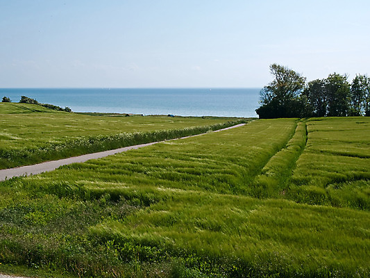 포토 JPG 해외이미지 식물 계절 바다 백그라운드 밭 농업 자연 벽지 하늘 날씨 풍경 잔디 사람없음 야외 초록색 여름 파란색 햇빛 태양 농장 환경 맑음 봄 시골 신선 땅 내추럴 평야 수평선 해외202004 해외포토 자연요소 산업 컬러 생태계 파일형식 이미지허브
