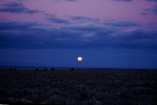 포토 JPG 해외이미지 사람없음 미국 사막 야간 애리조나 해외202004 해외포토 자연요소 북아메리카 파일형식 이미지허브