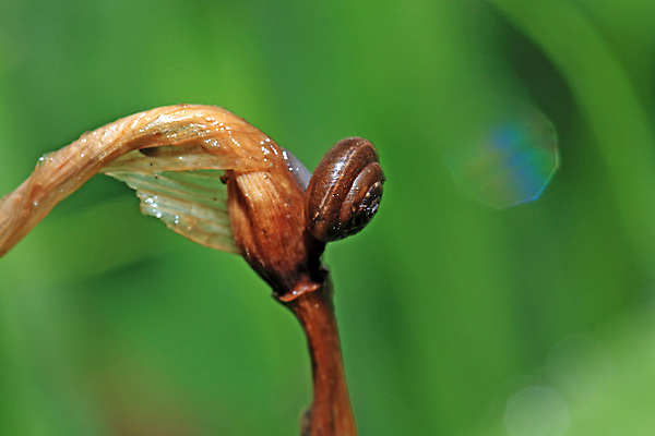 포토 JPG 해외이미지 주간 한마리 근접촬영 사람없음 야외 아웃포커스 해외202004 해외포토 자연요소 1 뷰포인트 촬영기법 파일형식 이미지허브