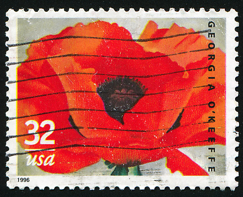 포토 JPG 해외이미지 식물 꽃잎 꽃 줄기 꽃무늬 자연 봉투 사람없음 미국 수확 골동품 벚꽃 메시지 역사 물개 편지 꽃집 복고 엽서 양귀비 우표 내추럴 옛날 해외202004 해외포토 북아메리카 무늬 농업 포유류 상점 바다동물 생태계 파일형식 이미지허브