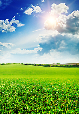 포토 JPG 해외이미지 나무 식물 구름 꽃 백그라운드 꽃무늬 밭 농업 자연 하늘 아침 풍경 잔디 사람없음 야외 목재 초록색 여름 파란색 햇빛 태양 일출 맑음 일몰 봄 광선 가을 저녁 숲 허브 장면 천국 해외202004 해외포토 주간 자연요소 계절 산업 컬러 무늬 재료 날씨 노을 야간 생태계 파일형식 이미지허브