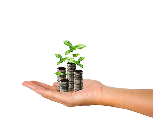 포토 JPG 해외이미지 식물 손 백그라운드 컨셉 돈 비즈니스 성공 사람없음 금융 쌓기 탑 금속 동전 거래 성장 흰색 절약 시장 재산 은색 주식 은퇴 속도 투자 고립 관심 수입 해외202004 해외포토 건축물 컬러 모션 재질 신체부위 경제 파일형식 이미지허브