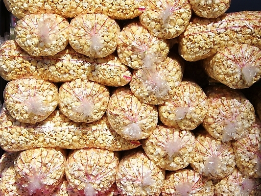 포토 JPG 해외이미지 음식 백그라운드 패턴 건강 옥수수 사람없음 흰색 시간 닫기 극장 먹기 필름 영화 질감 알맹이 팝콘 버터 고립 짠맛 해로움 해외202004 해외포토 컬러 컨셉 무늬 모션 문화예술 곡류 맛 파일형식 이미지허브