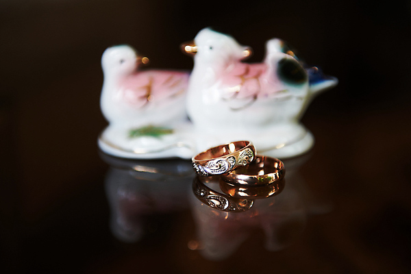 포토 JPG 해외이미지 커플 기념일 꽃 행복 감정 결혼 2 가족 관계 결혼식 남편 휴가 선물 사랑 이벤트 사람없음 장식 금융 빛 금속 침묵 신혼여행 흰색 하트 축하 반지 쌍 원형 신용카드 황금 고급 보석 집중 약혼 고립 영원 해외202004 해외포토 모양 도형 식물 컬러 컨셉 장신구 재질 경제 소리 광석 약속 파일형식 이미지허브