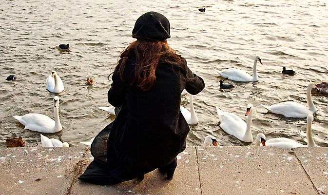 포토 JPG 해외이미지 동물 자연 조류 사람없음 물 흰색 백조 물새 해외202004 해외포토 자연요소 컬러 생태계 파일형식 이미지허브