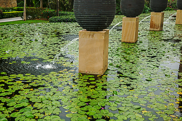 포토 JPG 해외이미지 꽃 자연 부동산 풍경 사람없음 물 환경 정원 중국 해외202004 해외포토 자연요소 식물 아시아 재산 생태계 파일형식 이미지허브