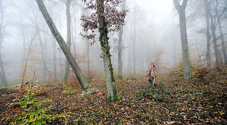 포토 JPG 해외이미지 나무 직업 남자 장갑 노동자 안전 사람 성인 사람없음 목재 힘 장비 도구 공구 업무 작업 숲 헬멧 위험 자르기 나무껍질 잡동사니 벌목 수목 전기톱 해외202004 해외포토 식물 잡화 컨셉 재료 모션 껍질 보호장비 톱 파일형식 이미지허브