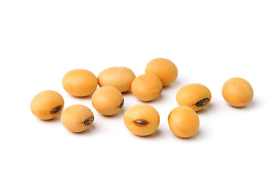 포토 JPG 해외이미지 식물 산업 음식 백그라운드 농업 채소 재료 자연 콩 건조 건강 씨앗 동양인 사람없음 농작물 노란색 수확 흰색 신선 그룹 변화 낟알 시리얼 흰배경 유기농 날것 두부 섬유 내추럴 보충 고립 단백질 대두 채식주의자 많음 비건 해외202004 해외포토 웰빙 컬러 컨셉 곡류 인종 직물 생태계 채식 영양소 파일형식 이미지허브